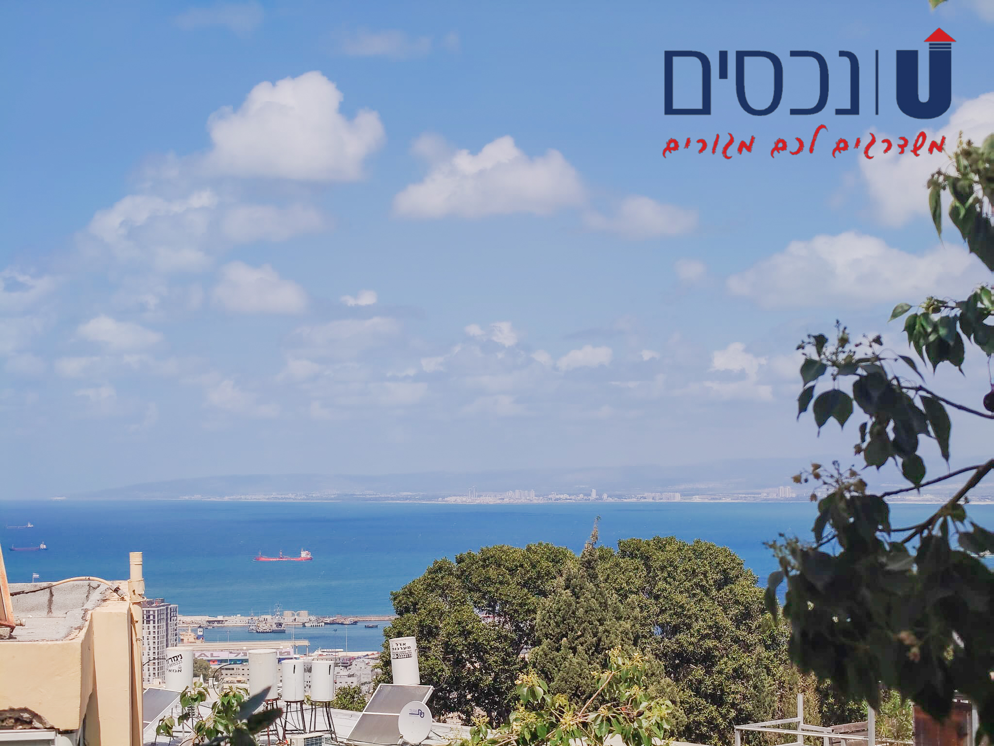 תמונת נכס